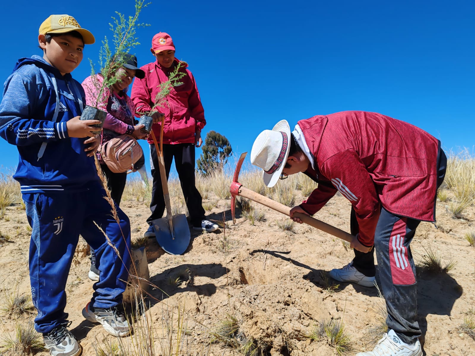 PROCURADURÍA GENERAL PROMUEVE EL CUIDADO Y PRESERVACIÓN DE LA MADRE TIERRA CON LA ENTREGA DE MÁS DE 300 PLANTINES EN EL MUNICIPIO DE ESCOMA A ORILLAS DEL LAGO TITICACA DE LA PAZ